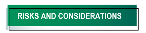 Risks and Considerations icon